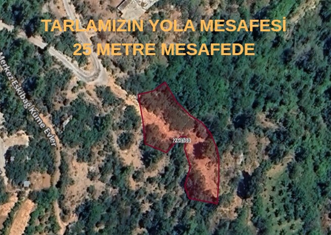ANTALYA GÜNDOĞMUŞ ESKİBAĞ KÖYÜNDE 1.837 M² BAHÇEMİZ SATILIKTIR. - ANTALYA GÜNDOĞMUŞ fotoğraf 7